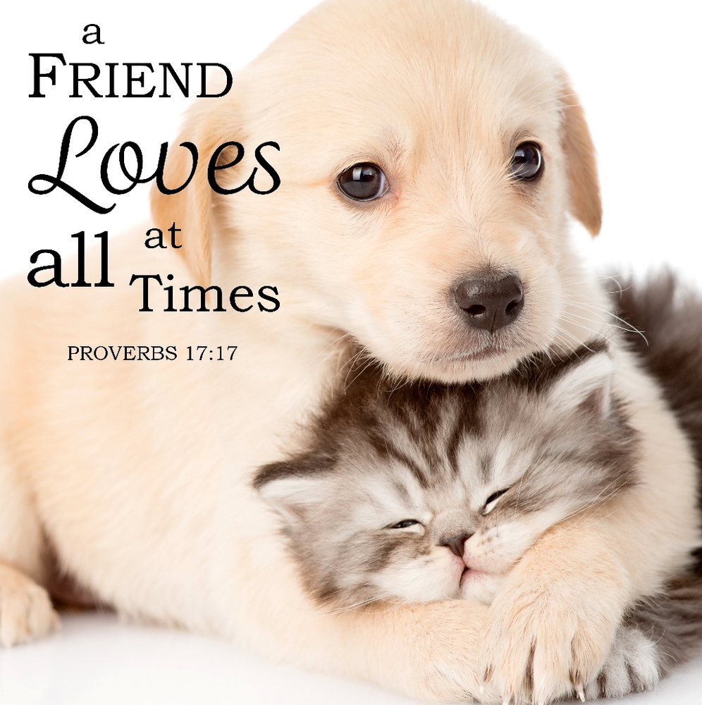 A friend loves at all times!